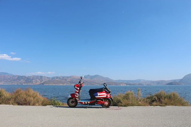 Ekspertens tips: Sådan får du mest værdi for pengene på brugt elbil